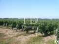 Photo 15 hectares de vignes en AOC