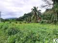 Photo AFAAHITI, TRES BEAU TERRAIN PLAT DE 1 260 M²