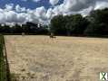 Photo Haras, Saint Lô, 10 hectares