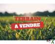 Photo Terrain viabilisé, en partie clos, présence d'un bâti en ruine