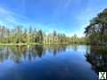 Photo Etang avec bois et abris