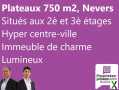 Photo Vente Professionnel de 750 m² à Nevers