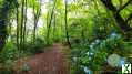 Photo Forêt à 5 km de la Cathédrale Saint-Corentin