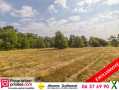 Photo Vente Terrain de 3565 m² à La Ferté-Imbault