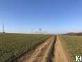 Photo Maison sur plus de 4 hectares de terrain avec bâtiment agricole