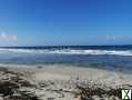 Photo MOOREA bord de mer plage sable blanc