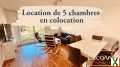 Photo Colocation Grand Appartement