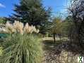 Photo RARE TERRAIN A BATIR ARBORE