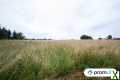 Photo Terrain constructible de 1369 m² à Turenne