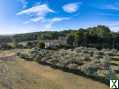 Photo Campagne au calme absolu avec oliviers sur 3,6 hectares de terrain !