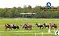 Photo CENTRE EQUESTRE, ÉCURIE, HARAS