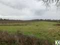 Photo Saint-Martin-du-Bois, Parcelles Viticoles env 17,3 Hectares