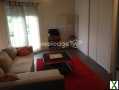 Photo Appartement T1 BIS 33,86 m2 en lmoi carrez