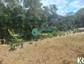 Photo TERRAIN AGRICOLE