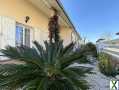 Photo MAISON INDIVIDUELLE EN BORDURE DE GARONNE