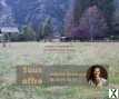 Photo Terrain constructible
