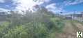 Photo SAINT FRANCOIS : terrain (690 m²) en vente