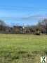 Photo Joli site de 5.3 hectares avec partie constructible Vue Pyrénées !!