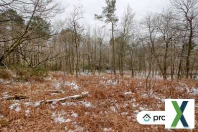 Photo Terrain boisé de 2 hectares situé à Saint-Aignan.