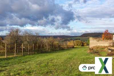 Photo Vente d'un grand terrain constructible et piscinable dans la Nièvre