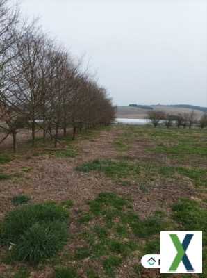 Photo Terrain agricole de 9 hectares à Villefranche-du-Queyran