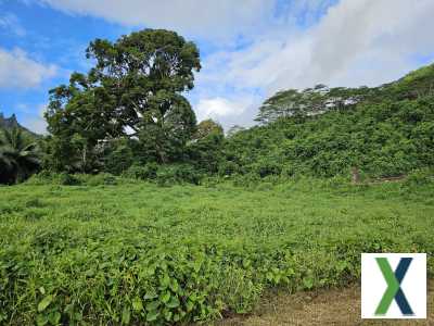 Photo Terrain viabilisé 5000 m² à Moorea avec vue