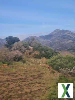 Photo Terrain et casot en pierre