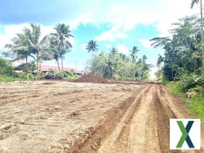 Photo RAIATEA PUOHINE : 4 LOTS, PLATS DE 640M2