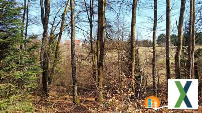 Photo Forêt et pré