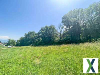 Photo Terrain - 793 m²